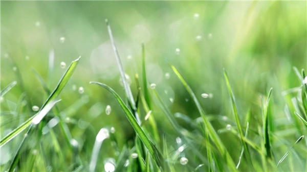 企业专题片拍摄制作技巧有哪些？